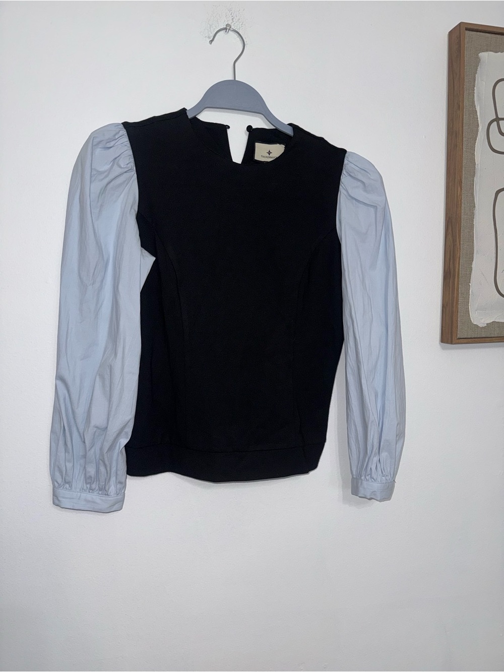Tuckernuck Black Pullover with Light Blue Puff Sleeves